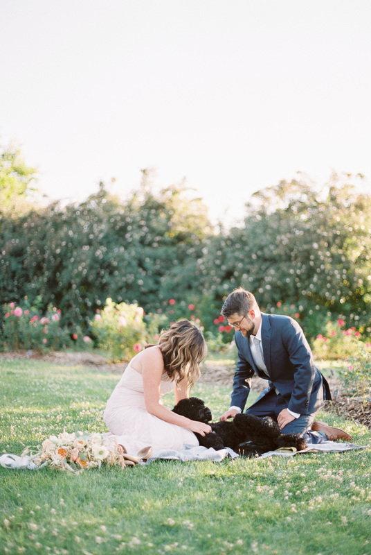 Sweet Rose Garden Engagement Session with Adorable Dog!